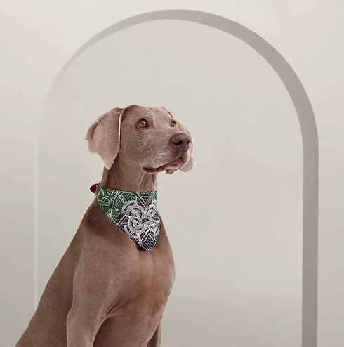 犬用バンダナ 《エプロン・ドール》 L